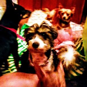 Meet your Posher, Deborah